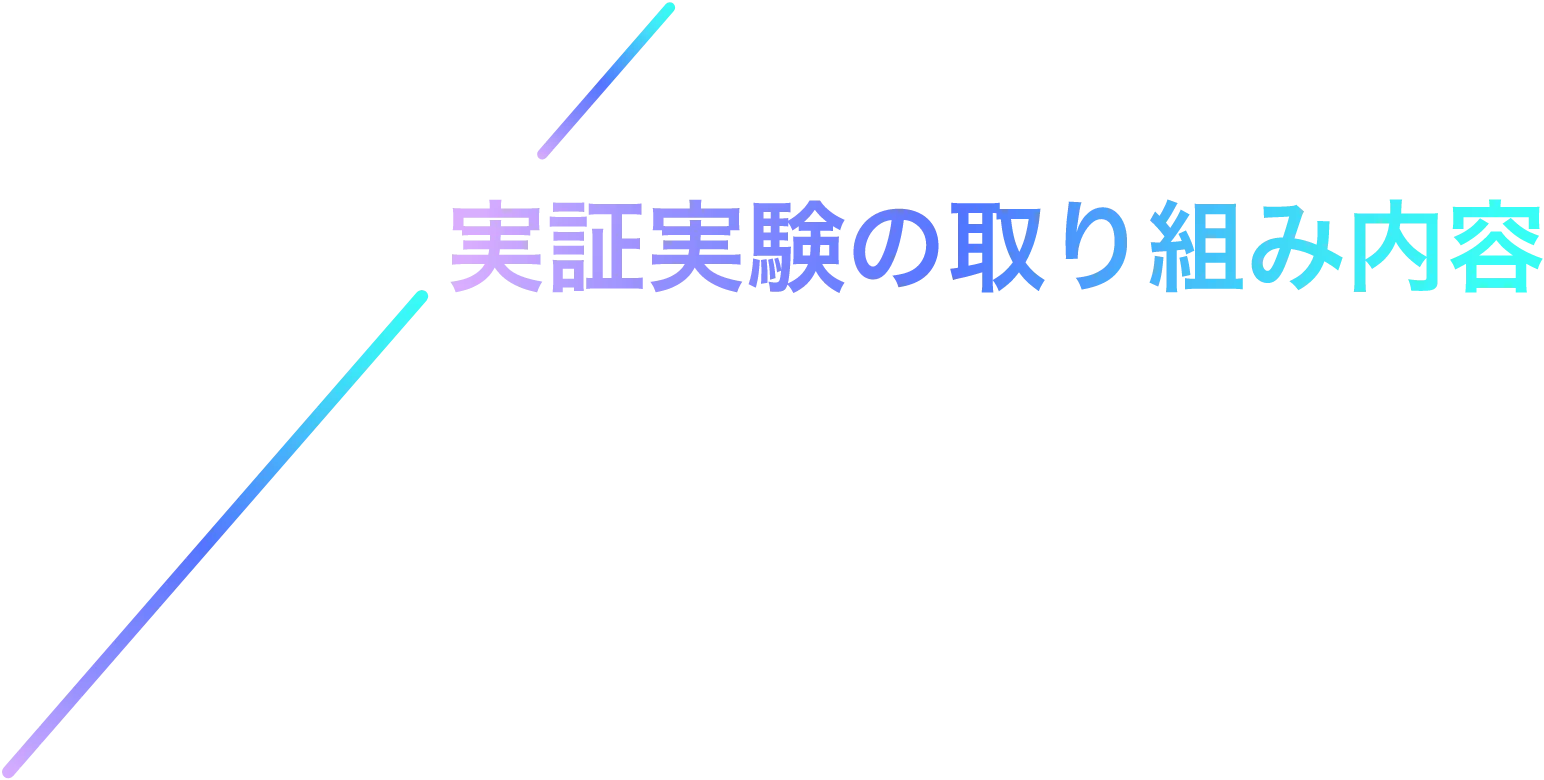 実証実験の取り組み内容